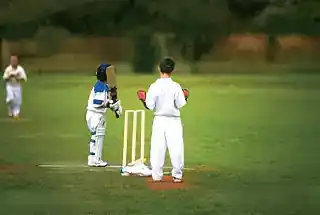 Box Cricket