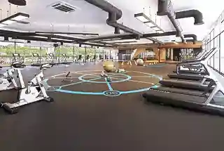 Gymnasium